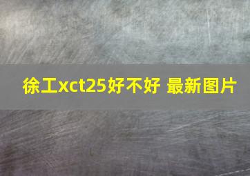 徐工xct25好不好 最新图片